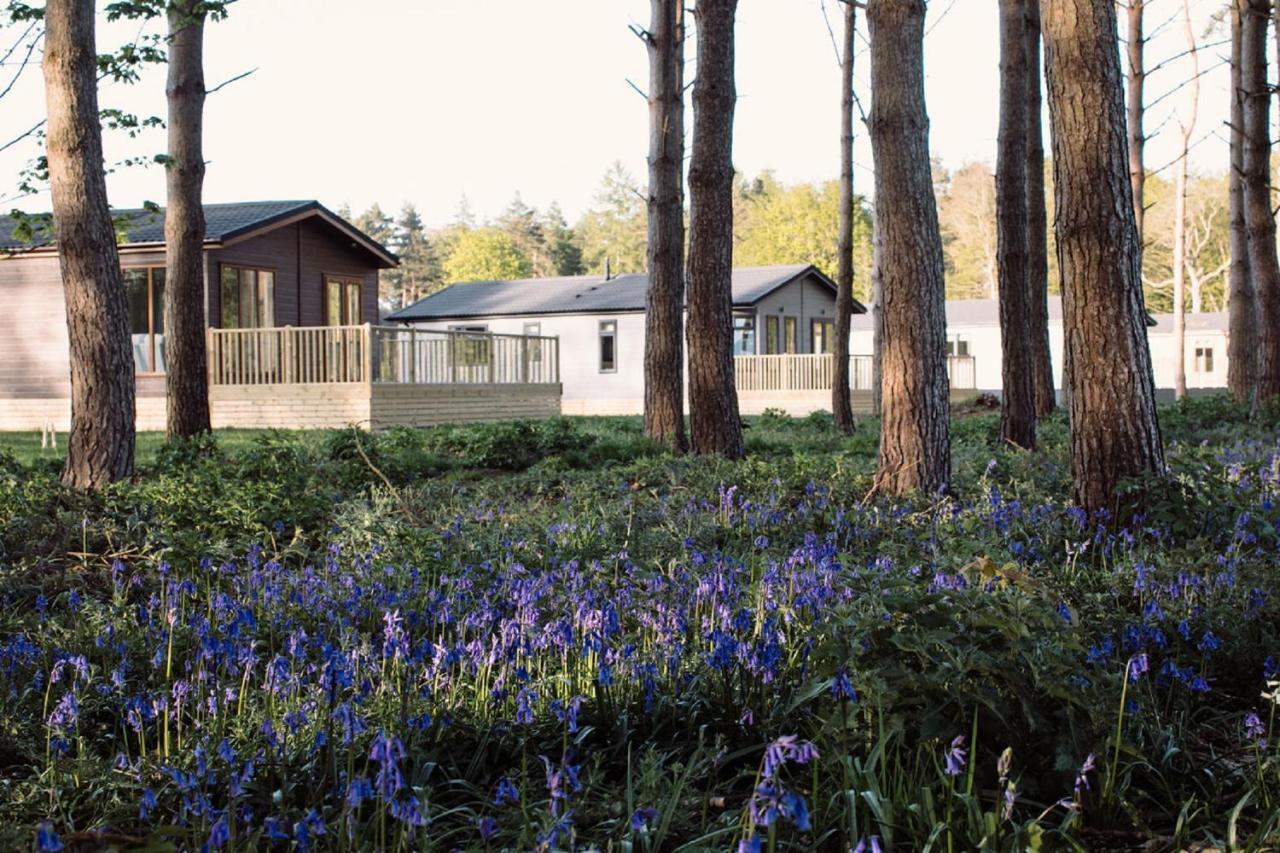 Hollicarrs - Stag Lodge York Exteriör bild