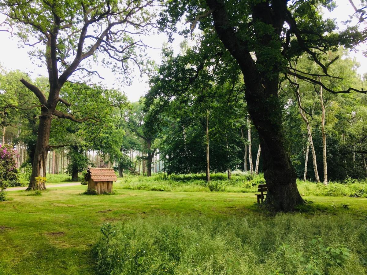Hollicarrs - Stag Lodge York Exteriör bild