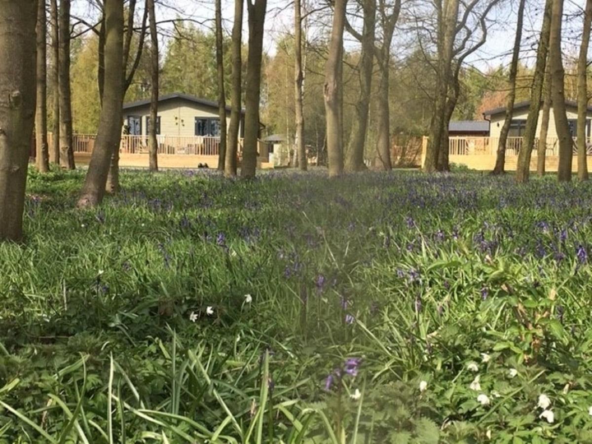 Hollicarrs - Stag Lodge York Exteriör bild