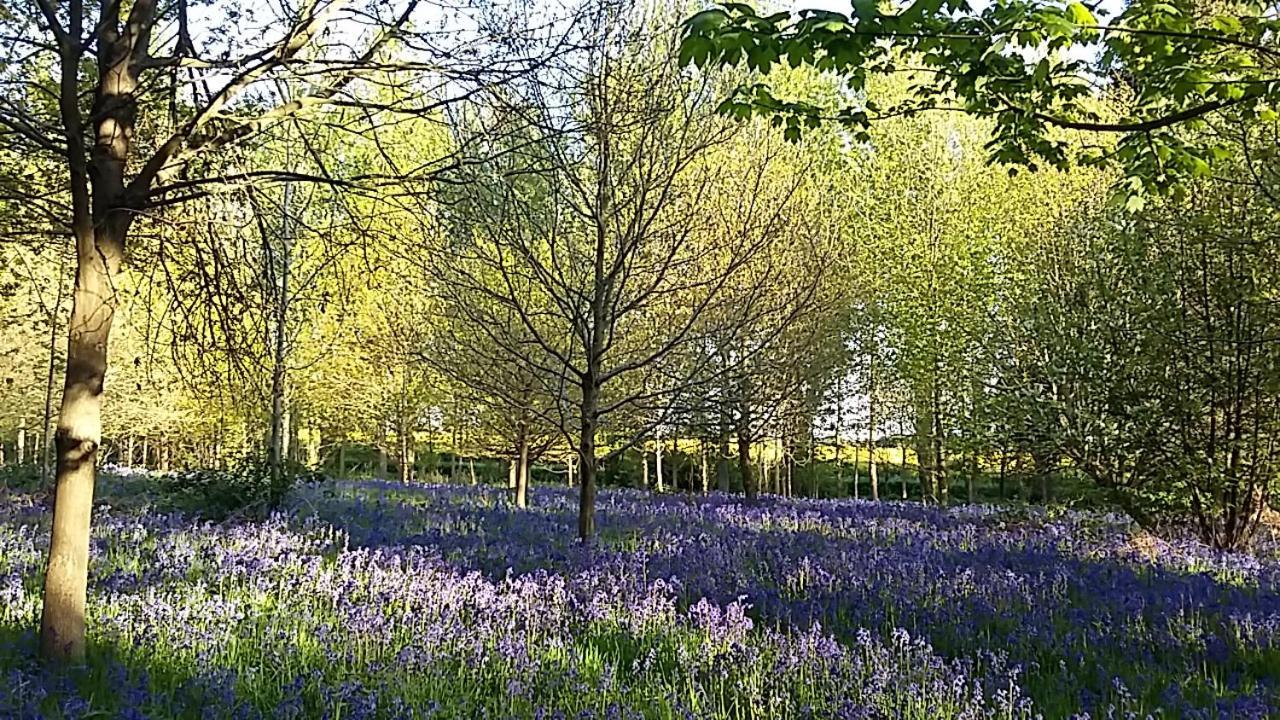 Hollicarrs - Stag Lodge York Exteriör bild