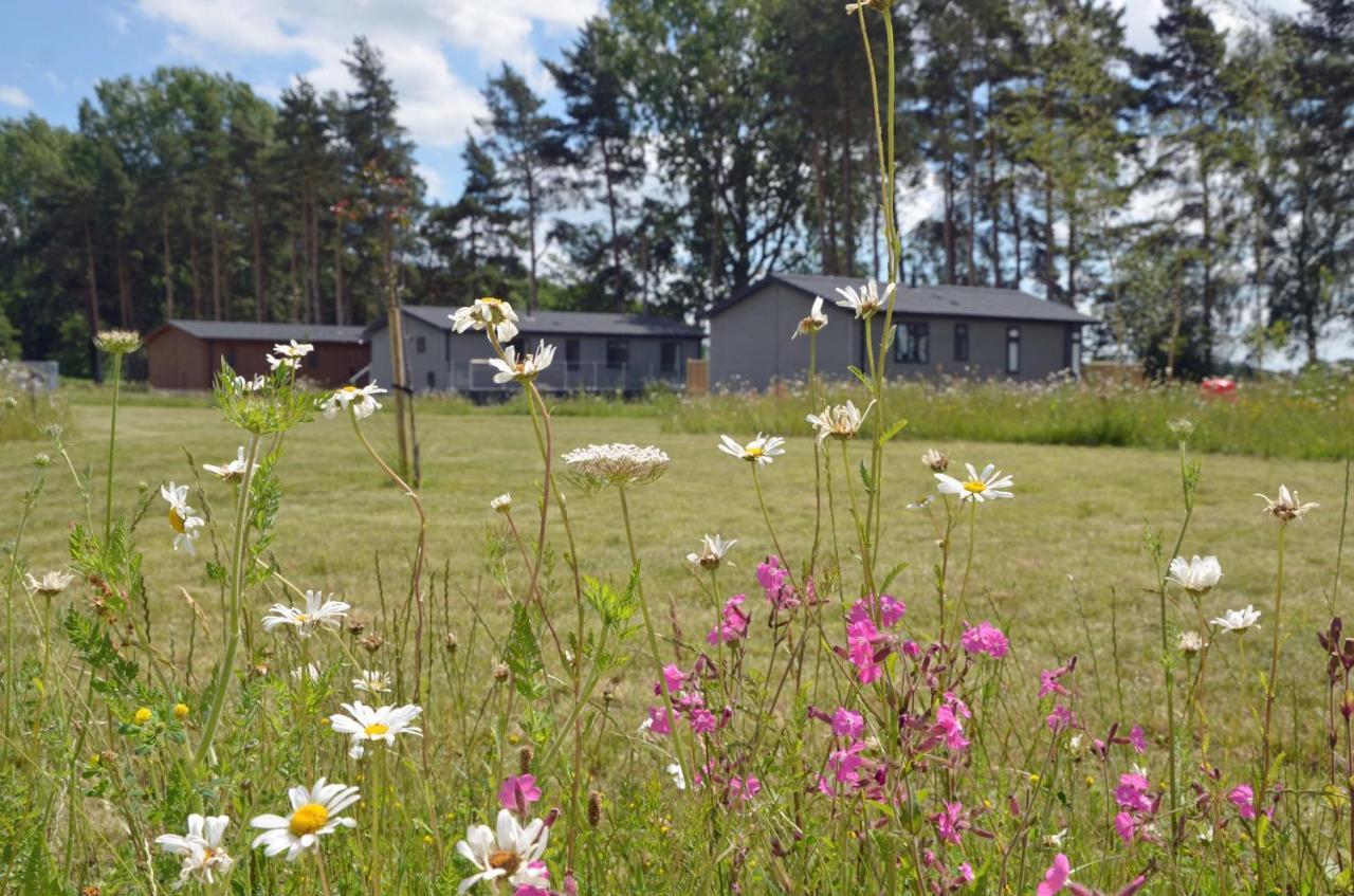 Hollicarrs - Stag Lodge York Exteriör bild