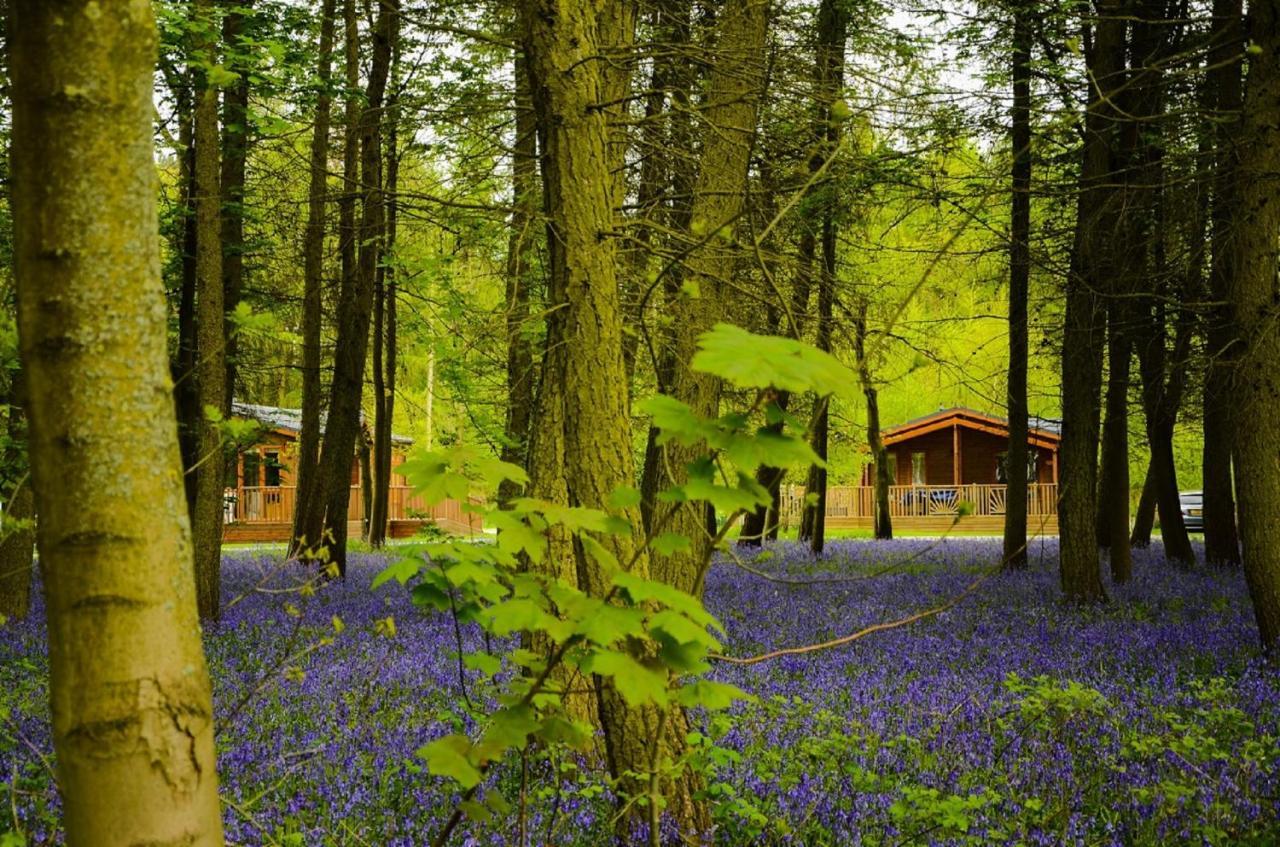 Hollicarrs - Stag Lodge York Exteriör bild
