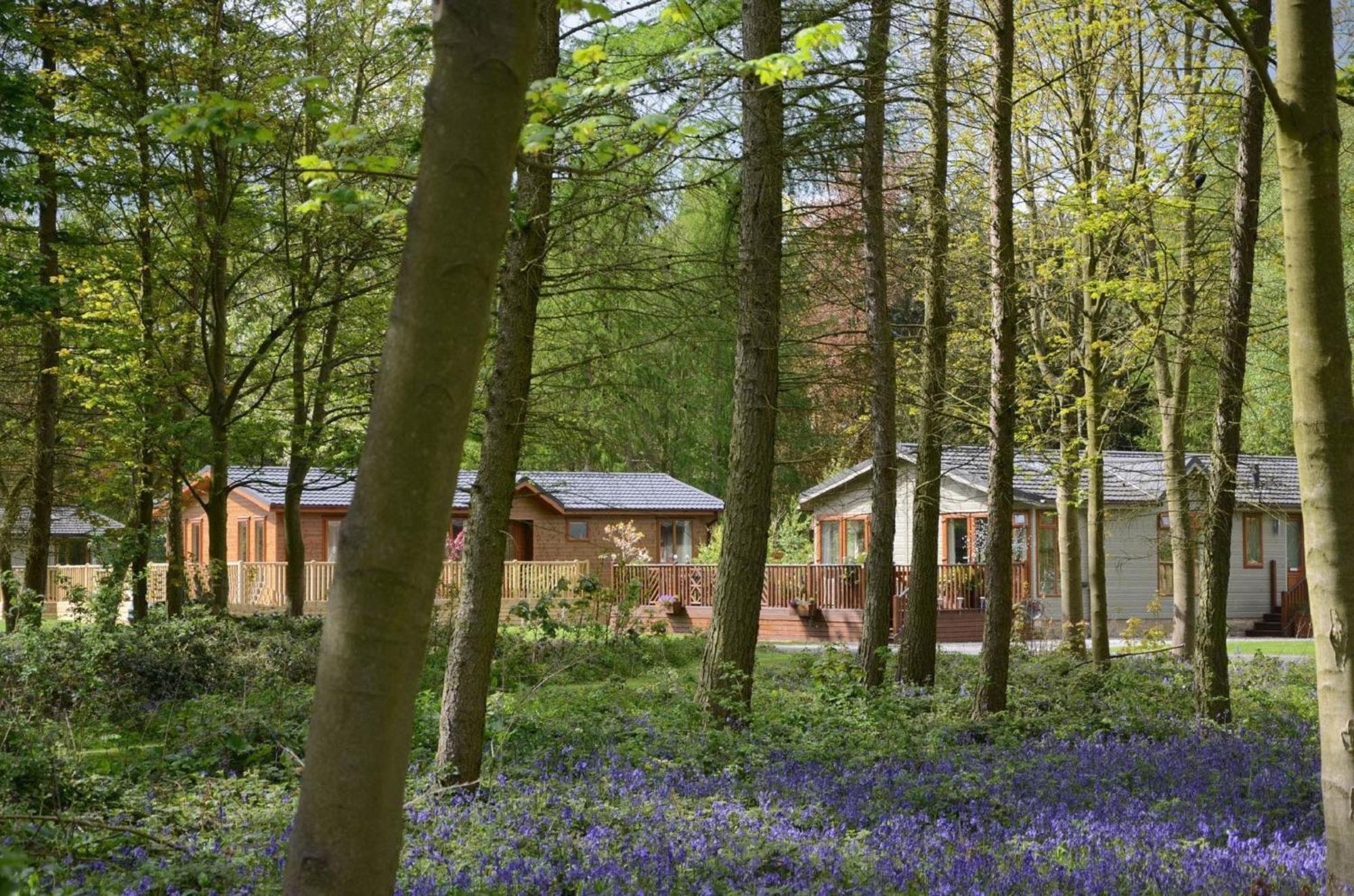 Hollicarrs - Stag Lodge York Exteriör bild